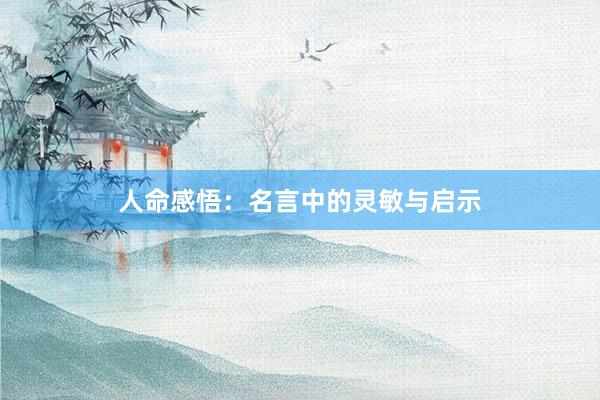 人命感悟：名言中的灵敏与启示
