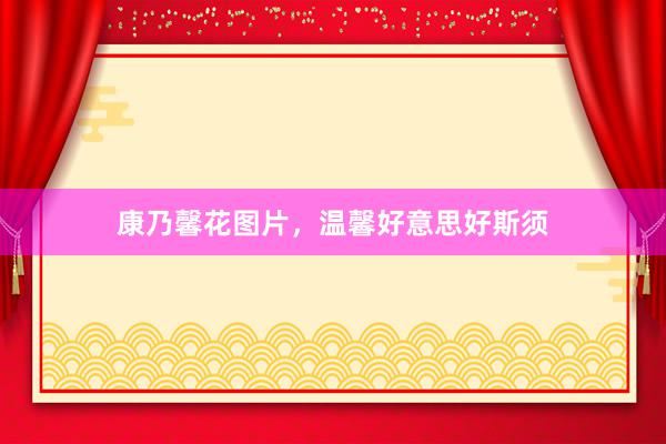 康乃馨花图片，温馨好意思好斯须