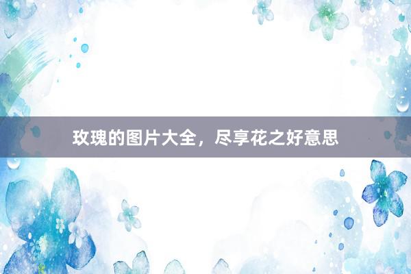 玫瑰的图片大全，尽享花之好意思